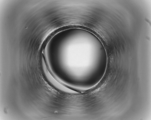 X0000094360926200711021506