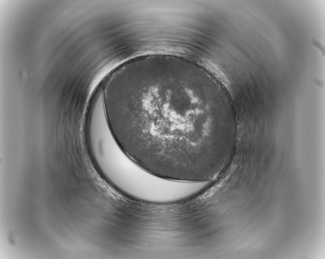 X0000094360928200711021506