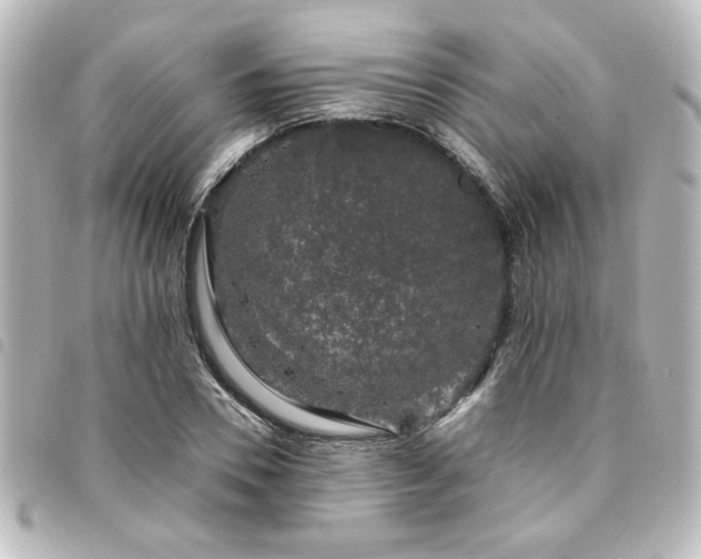 X0000094360930200711021506