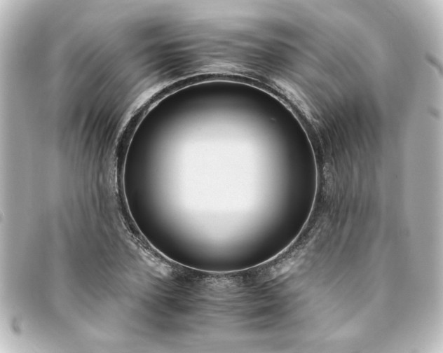X0000094360931200711021506