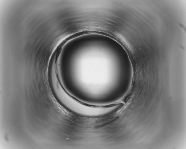X0000094360932200711021506