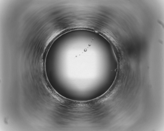 X0000094360933200711021506