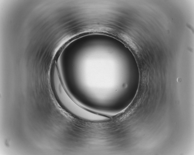 X0000094360936200711021506