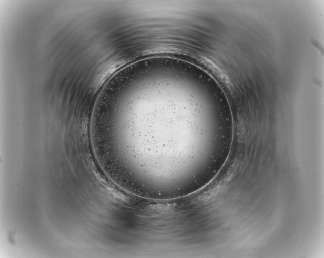 X0000094360937200711021506