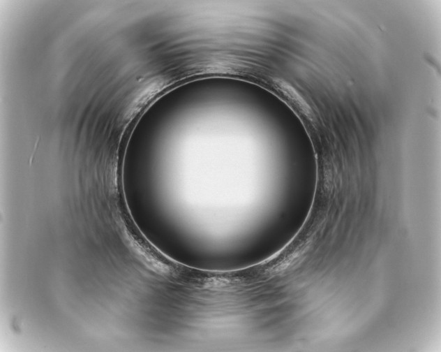 X0000094360938200711021506