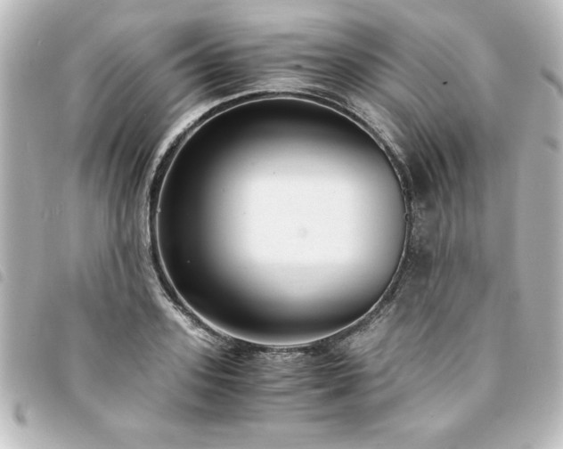 X0000094360939200711021507