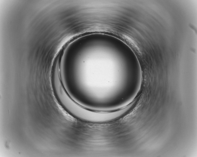 X0000094360942200711021507