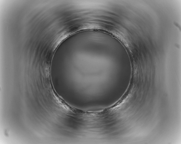 X0000094360945200711021507