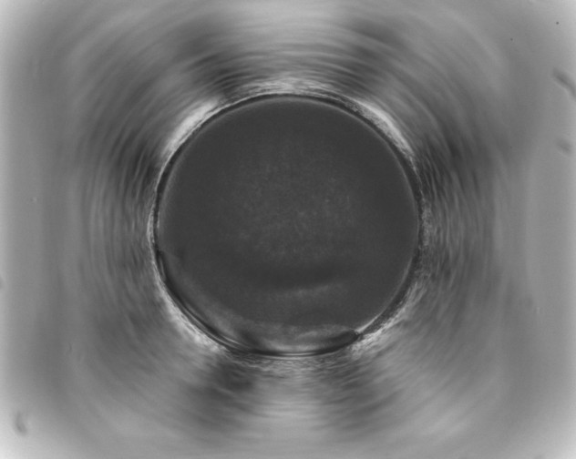 X0000094360946200711021507