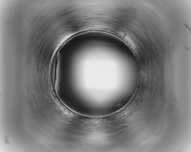 X0000094360948200711021507