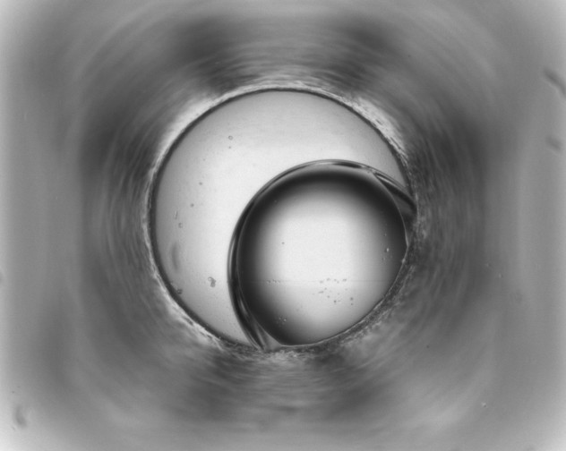 X0000094360950200711021507