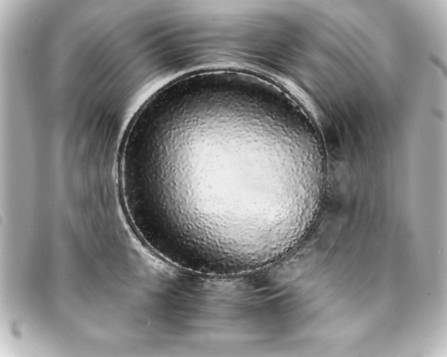 X0000094360951200711021507