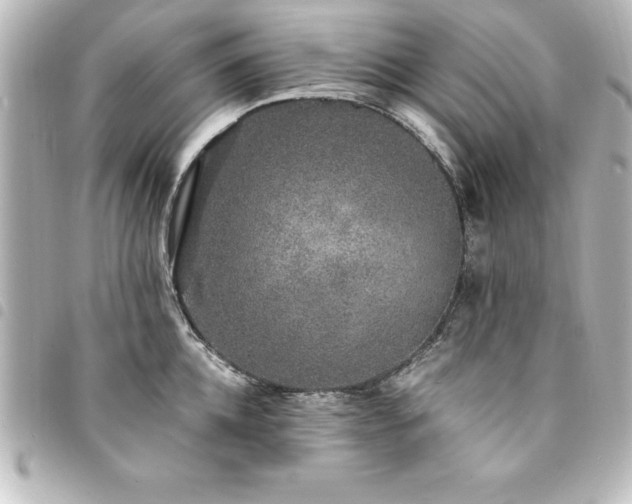X0000094360952200711021507