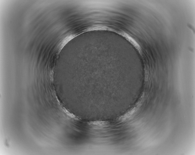 X0000094360953200711021507