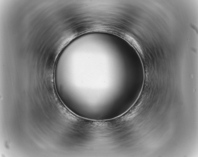X0000094360954200711021507