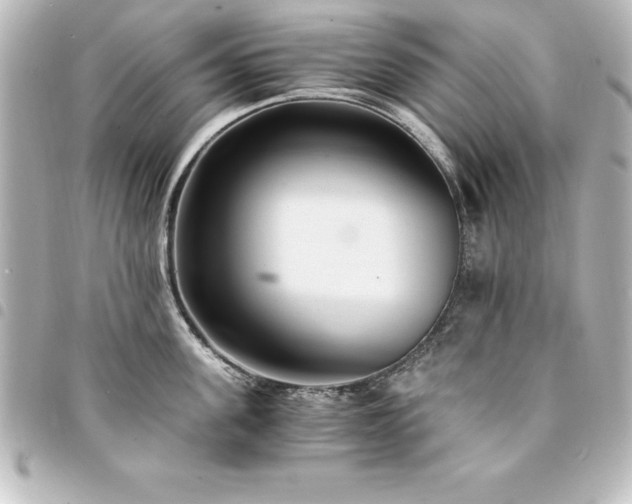 X0000094360955200711021507