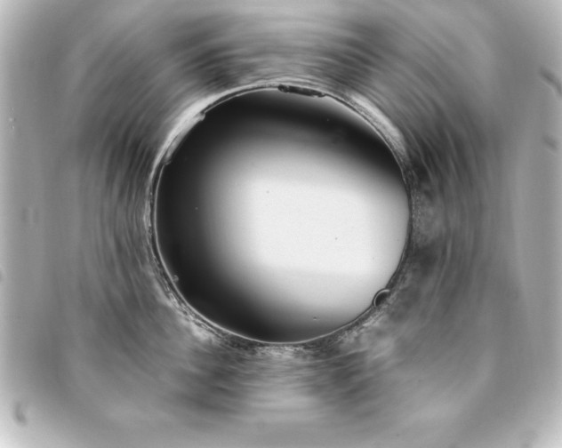 X0000094360956200711021507