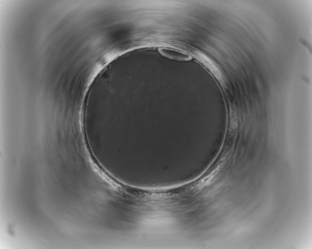 X0000094360958200711021507
