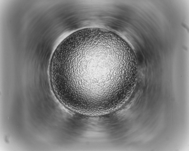 X0000094360959200711021507