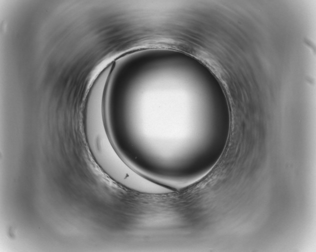 X0000094360960200711021507