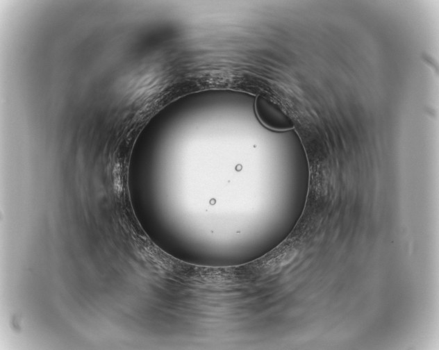 X0000094360962200711021506