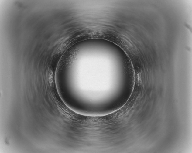 X0000094360963200711021506
