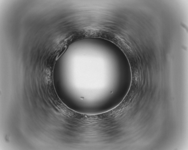 X0000094360964200711021506
