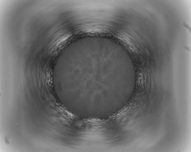 X0000094360966200711021506