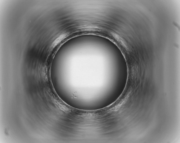 X0000094360970200711021506