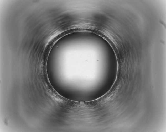 X0000094360971200711021506