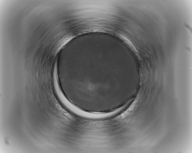 X0000094360977200711021506