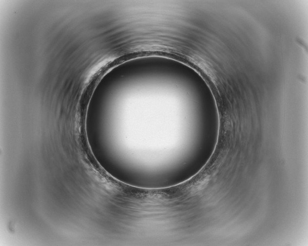 X0000094360979200711021506