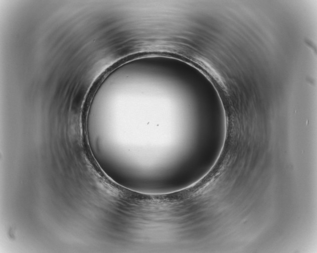 X0000094360980200711021506
