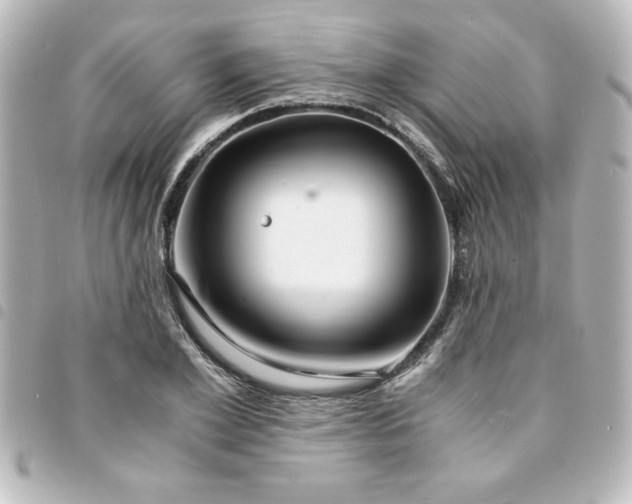 X0000094360981200711021506