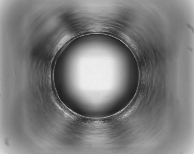 X0000094360986200711021506