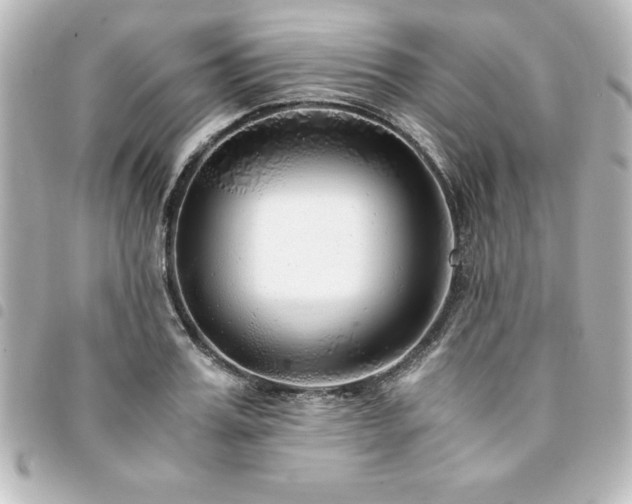 X0000094360987200711021506