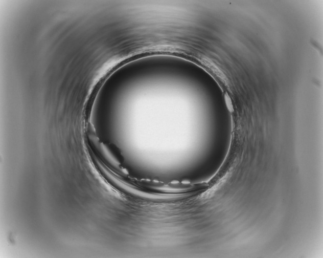 X0000094360989200711021506