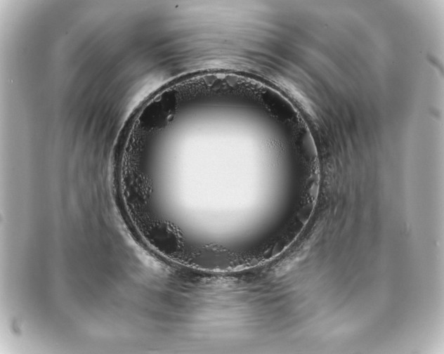 X0000094360991200711021506