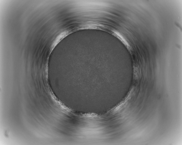 X0000094360994200711021506