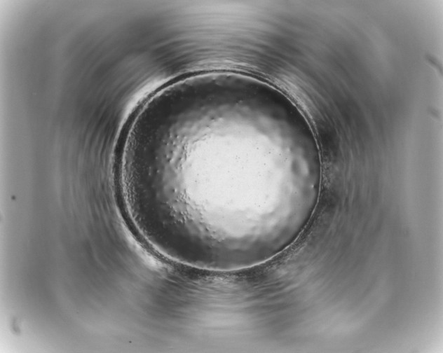X0000094360995200711021506
