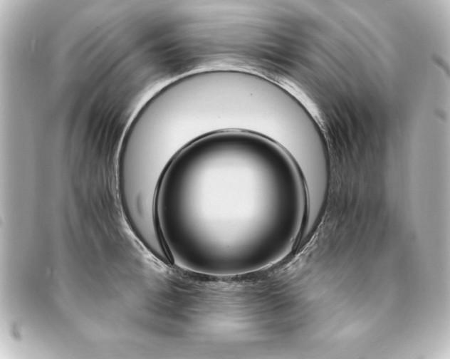 X0000094360996200711021506