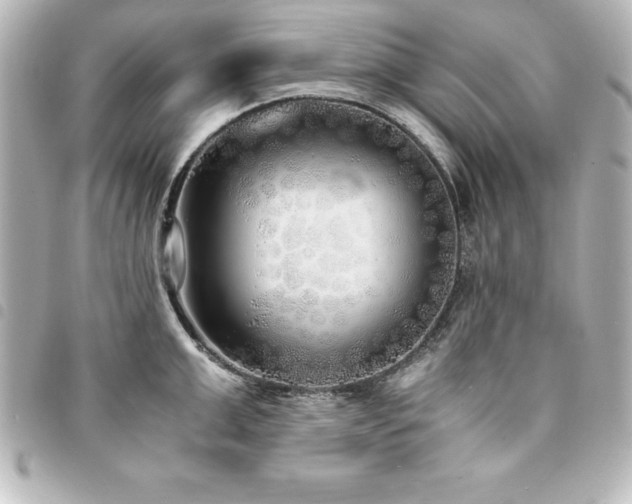 X0000094360999200711021506