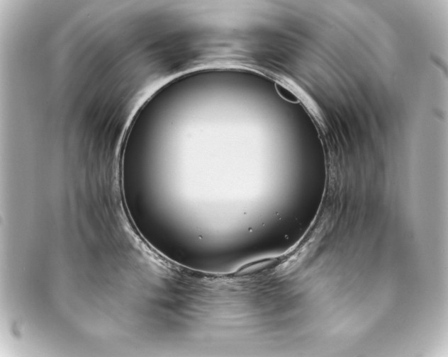 X0000094361004200711021506