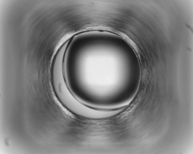 X0000094361005200711021506