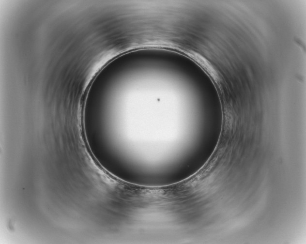 X0000094361006200711021506