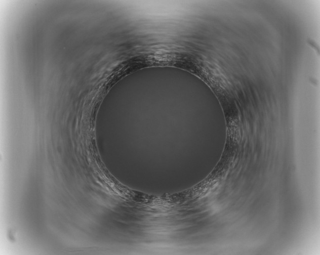 X0000094361009200711021505