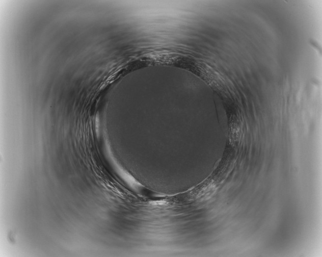 X0000094361010200711021505