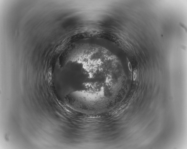 X0000094361011200711021505