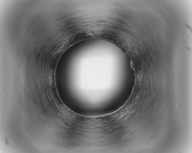 X0000094361012200711021505