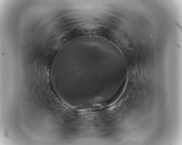 X0000094361013200711021505
